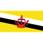 Brunei team flag