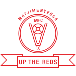 TAFIC team flag