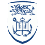 Swansea University team flag