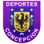 Concepción team flag