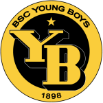 BSC Young Boys team flag