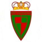 Houtvenne team flag