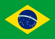 Brazil team flag