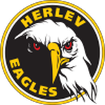 Herlev team flag