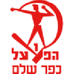 Hapoel Kfar Shalem flag