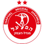 Hapoel Migdal HaEmek team flag
