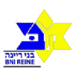 Maccabi Bnei Raina team flag