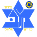Maccabi Kiryat Malachi team flag