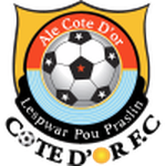 Côte d'Or team flag