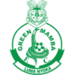 Green Mamba team flag