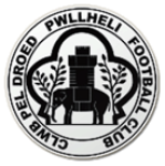 Pwllheli team flag