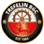 Trefelin team flag
