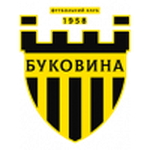 Bukovyna team flag
