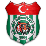 1954 Kelkit Belediyespor team flag