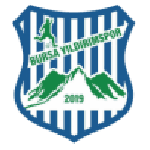 Bursa Yıldırımspor team flag