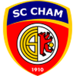 Cham team flag