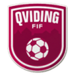 Qviding FIF team flag