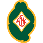 Skövde AIK team flag