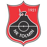 Tolmin team flag