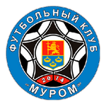 Murom team flag