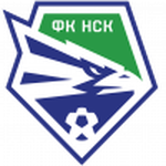 Novosibirsk team flag