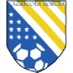 Agricola Borcea team flag