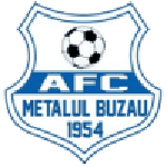 Metalul Buzău team flag
