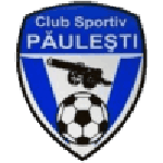 Păuleşti team flag