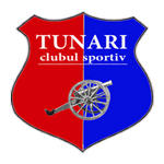 Tunari team flag