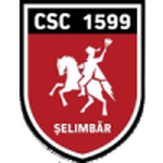 Viitorul Şelimbăr team flag