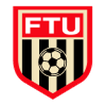 Flint team flag