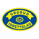 Grorud team flag