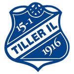 Tiller team flag