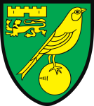 Norwich flag