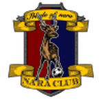 Nara Club team flag