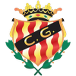 Gimnastic team flag