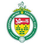 Ashford United team flag