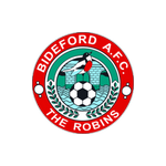 Bideford team flag