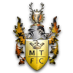 Melksham Town team flag