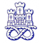 Newcastle Town team flag