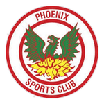 Phoenix Sports team flag