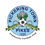 Pickering Town team flag