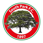 South Park team flag