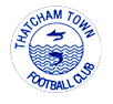 Thatcham Town team flag