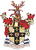 Waltham Abbey team flag