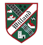 Willand Rovers team flag