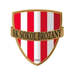 Sokol Brozany team flag