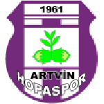 Artvin Hopaspor team flag