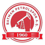 Batman Petrolspor team flag