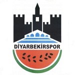 Diyarbekirspor team flag